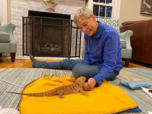 Healing Touch For Animals Session